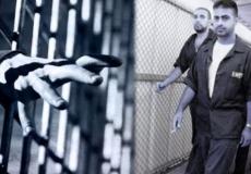 قوات الاحتلال الاسرائيلي