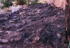 آثار الحريق - مقبرة الاستقلال حيفا