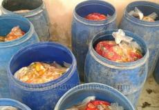 ضبط مخللات منتهية الصلاحية