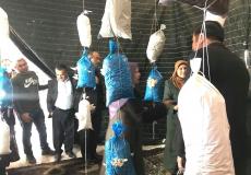 التربية تفتح مشروعاً لزراعة الفطر في مدرسة بنات قراوة بني حسان الثانوية