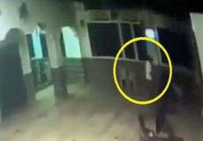 شاهد : لحظة وفاة مصري خلال الصلاة بأحد مساجد الغردقة