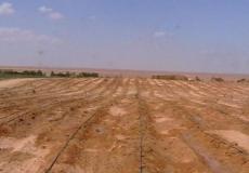 سلطة الاراضي في غزة