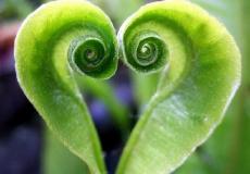 الطبيعة للإنسان.. أنا أحبك