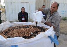  تحويل حبوب " اللوز" علف للحيوان