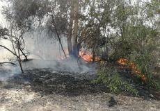 الاحتلال يعتقل فلسطينيين تجاوزا السياج واندلاع حريق بغلاف غزة -جانب من الحريق-