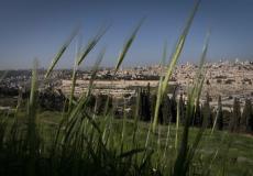 مدينة القدس