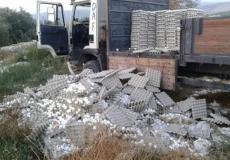 انهيار سعر البيض يدفع أحد المزارعين لاتلافه في الضفة الغربية