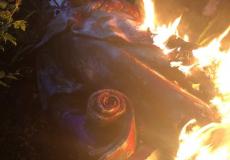 أمريكيون يحرقون ويغرقون تمثال المستكشف الإسباني كولومبوس