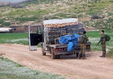 هدم بسطات خضار في الأغوار الشمالية