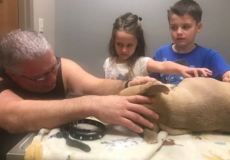 كلب زيوس ينقذ طفلين