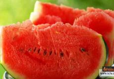 فاكهة البطيخ
