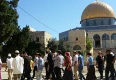 عشرات المستوطنون يدنسون صباح اليوم باحات الأقصى