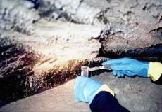 العثور على بكتيريا عمرها 3.22 مليار سنة