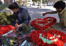 باكستانيان يجهزان ورودا حمراء