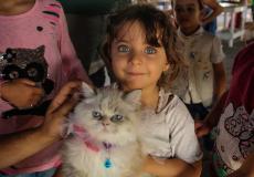افتتاح معرض الحيوانات الأليفة في غزة - تصوير: عطية درويش