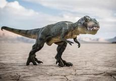 تفاصيل آخر ربع ساعة من حياة الديناصورات