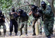 حركة المقاومة الشعبية في فلسطين