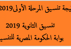 نتيجة تنسيق المرحلة الاولى 2019 بالاسم عبر بوابة الحكومة المصرية