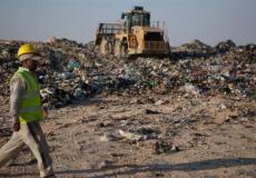 مكب زهرة الفنجان