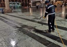 أسراب كثيفة من الجنادب السوداء تغزو المسجد النبوي