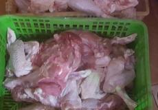 صدر حبش فاسد - ارشيف