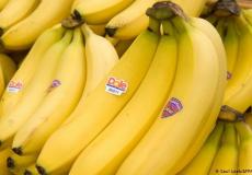 الموز تتغير قيمته الغذائية بتغير لونه.. إليك أنواعه