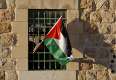 علم فلسطين- تعبيرية