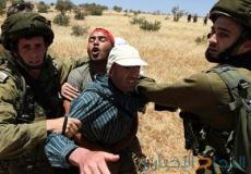 الاحتلال يطارد رعاة الأغنام في بلدة يطا 