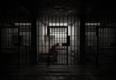 هادي بن كدمه