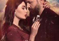 سيرين عبد النور تخوض صراعاً واتهامات تلاحق نادين نجيم