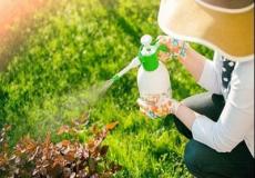 المبيدات الحشرية في إسرائيل - توضحية-