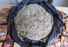 مادة "القنب المهجن" المخدر