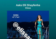 رسالة توجهها نادين نجيم لإليسا