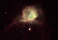 النجم القزم "دوكس"