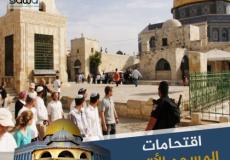 اقتحامات الاقصى 