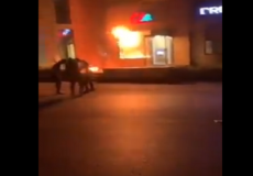 مصارف لبنان تتعرض لهجوم بالقنابل الحارقة