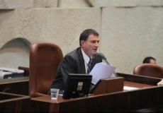 يولي إدلشطاين