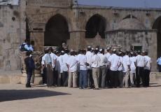 مستوطنون يقتحمون الأقصى بحراسات مشددة