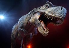 قطعوا رؤوس ثلاثة نسخ من ديناصورات