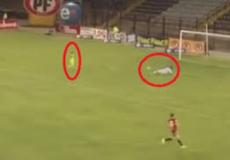 سقوط الحارس