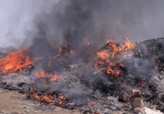 حرق النفايات في غزة - أرشيفية -