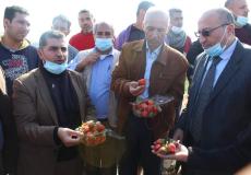 جولة وزارة الزراعة في شمال قطاع غزة