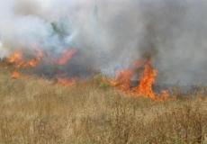 اشتعال النار في حقول القمح الإسرائيلية بفعل طائرة ورقية أطلقها المتظاهرون الفلسطينيون