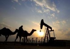 حذرت الوكالة الدولية للطاقة وأوبيك من نقص المعروض من النفط