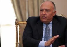 وزير الخارجية المصري سامح شكرى
