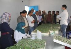 التوجه للزراعة الحديثة