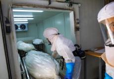 كورونا في إسرائيل 