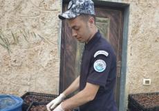 ضبط تمور غير صالحة في جنين