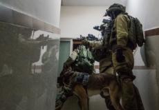 جيش الاحتلال الاسرائيلي