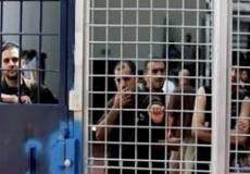 هيئة شؤون الاسرى والمحررين